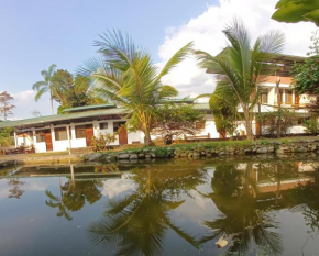 El Cacaotal Finca Faura